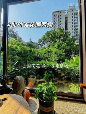 光明未来华园公开课咋进直播？未来花园新手指南