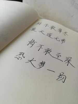 情不敢至深，恐大梦一场，卦不敢算尽，畏天道无常是什么意思？剑三新手村算卦