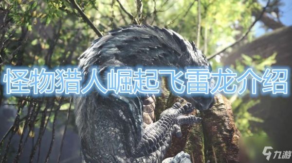 钓雷龙用什么线组？怪物猎人 新手打雷龙穿什么防具