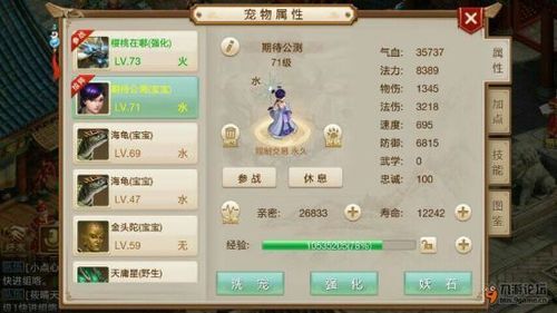 《问道》手游前期最佳宝宝搭配推荐？问道新手门派比武