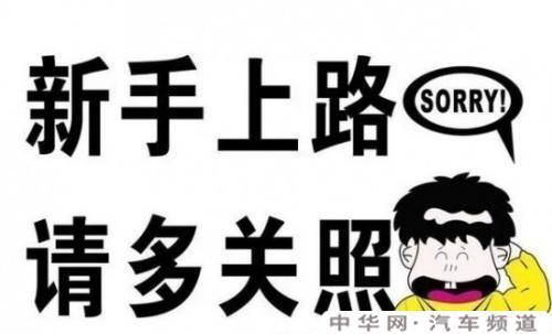 新手上道看车技巧？新手上道提示