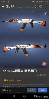 csgo普通枪皮和startark区别？cs新手用什么枪