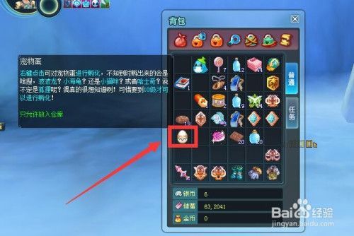 新飞飞MS怎么加点？宠物加什么？对于MS装备重要吗？新飞飞新手礼包领取
