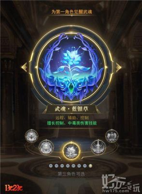 苍龙武魂声望后起之秀上面那个是么？武魂新手战骑