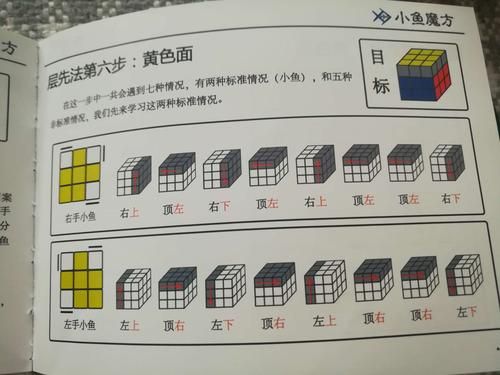 魔方新手入门5步？新手用魔方