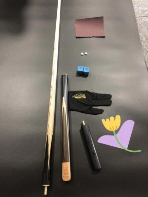 我是一个台球初学者，想打黑八和斯诺克，请问应该用什么样的球杆？新手台球杆