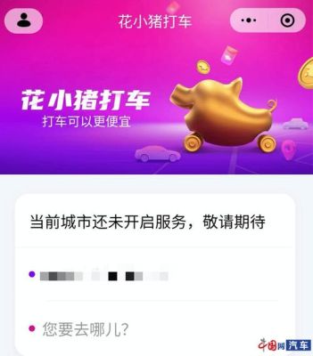 花小猪新手夜间可以接单吗？lol新手阶段