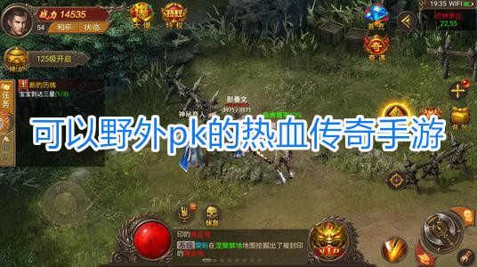 热血传奇手游刺客怎么玩，热血传奇手游刺客职业心得？-热血传奇新手刺客