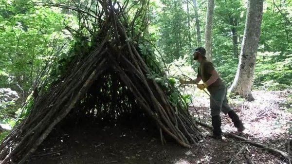 森林游戏怎么圈养动物？-森林新手生存方式