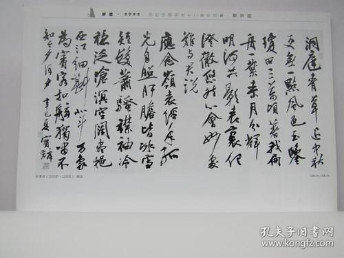 曹宝麟作品集？-苍茫之境新手用什么