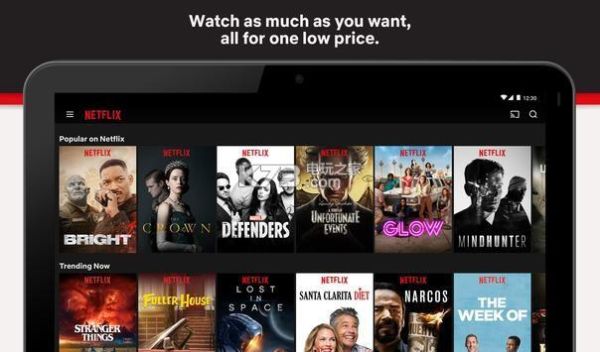 请问Netflix是什么，国内能用吗？-最新手机能看片的网址