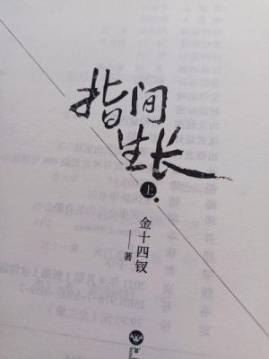 指间生长by金十四钗讲的什么？-指尖梦幻新手攻略