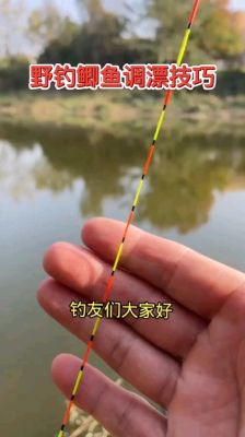无铅自立漂钓鲫鱼合适么？-新手野钓鲫鱼教学视频教程