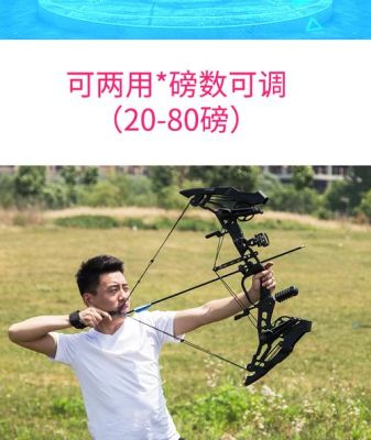 新手买什么弓练手好?不要复合弓和比赛那种？-新手用什么弓箭好