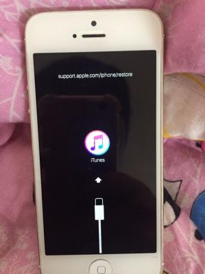 为什么iphone5s无法充电？-苹果5s新手机怎么充电没反应怎么回事啊