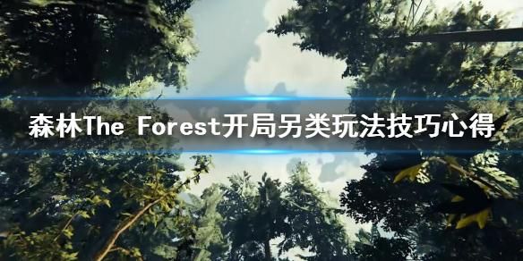 森林开局怎么玩？-森林新手指南