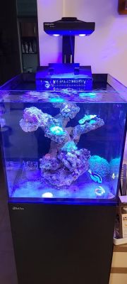 海水鱼缸新手入门设备？-海水新手2