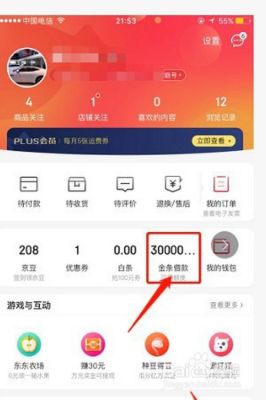 激活京东白条，送你1个月返利超级会员+10元话费活动奖励使用说明？-京东白条闪付新手礼包