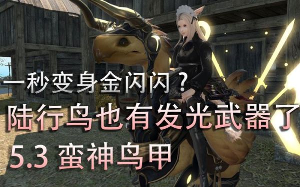 ff14怎么购买竞赛陆行鸟？-ff14新手装备在哪买