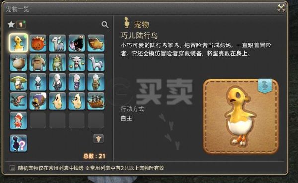 ff14怎么购买竞赛陆行鸟？-ff14新手装备在哪买