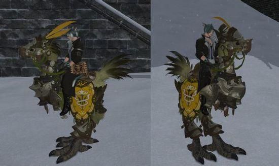 ff14怎么购买竞赛陆行鸟？-ff14新手装备在哪买