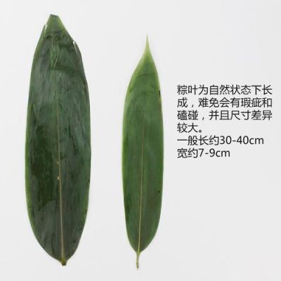 包粽子的叶子是棕榈叶子？-新手包粽子的方法