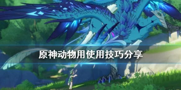 原神头上的小宠物怎么获得？-怪兽宝贝新手礼包