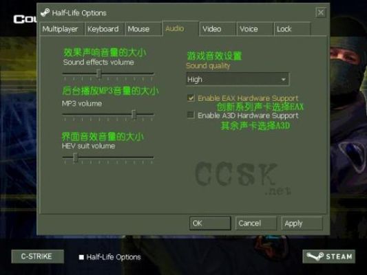 cs新手设置怎么调？-cs新手游戏视频教程
