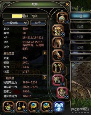 龙之谷95端游职业推荐？-龙之谷新手网游职业推荐