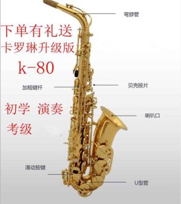 新手用萨克斯，一般多少钱，种类，希望详细介绍？-希望新手卡