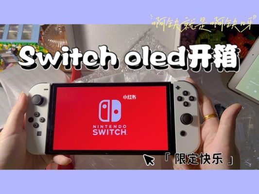 switch按键功能详解？-任天堂switch新手说明