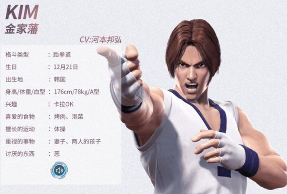 拳皇2015所有人物？-拳皇13金家潘纯新手