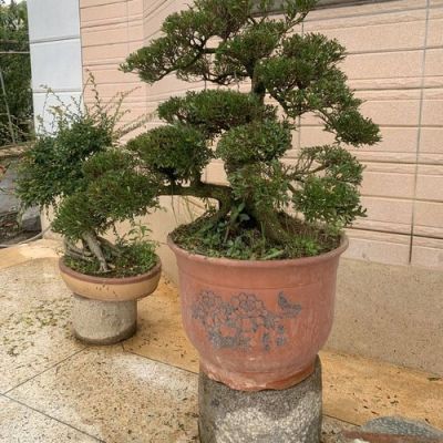 学校饭卡挂失正确方法？-完美老账号补领新手卡