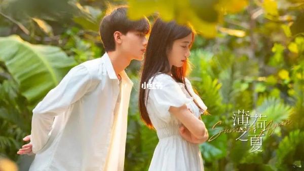 有什么很甜很甜全程无虐无误会的电视剧、电影推荐吗？-完美新手卡怎么使用