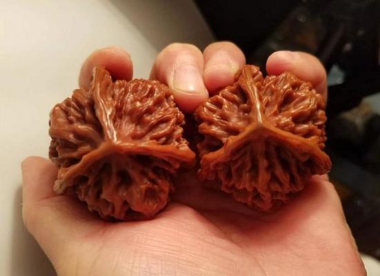 新手一般开始玩核桃，入多少价格的适合？-王者荣耀新手耍什么意思