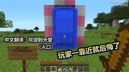 学佛入门，初学者应该从哪开始，学什么？-我的世界新手视频第4集
