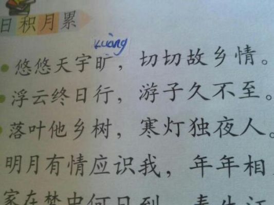 雪中悍刀行乡愁诗句？-新手剑士炉子教学