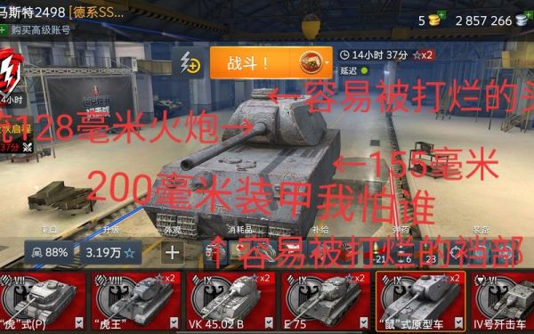 坦克世界闪击战新手选什么系？-坦克世界闪击战新手技巧