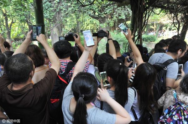 南京远驱官方网站？-1024最新手机基地学生