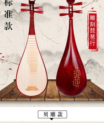 初学者琵琶购买指南？-琵琶新手