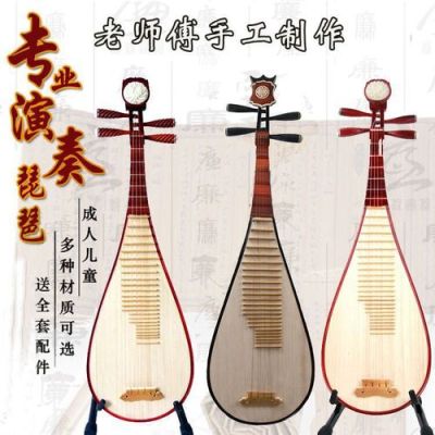 初学者琵琶购买指南？-琵琶新手