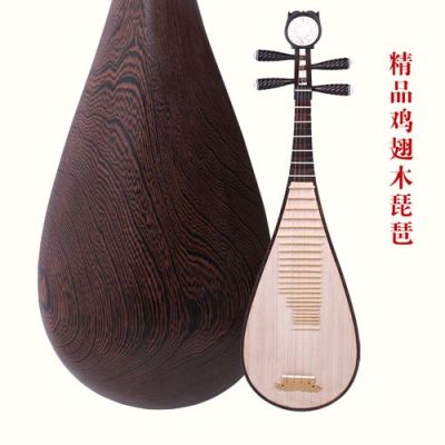 初学者琵琶购买指南？-琵琶新手