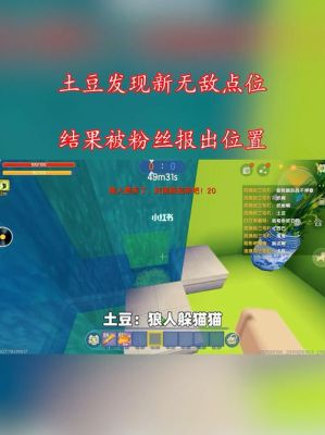 土豆是谁家的粉丝名？-土豆新手