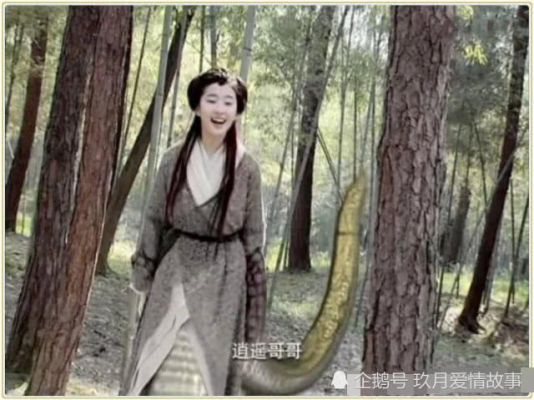 赵灵儿为什么会变成蛇？-上古5新手不三神