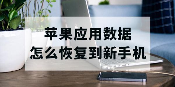新苹果手机刚买回来为什么有次还原记录？-新手机会有还原统计数据么