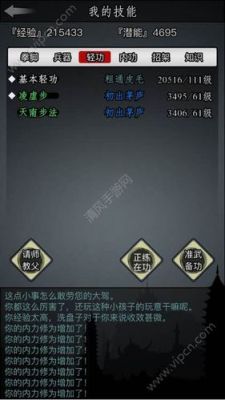 江湖悠悠哪个门派武功厉害？-新手打冲霄