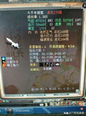 大话2五开召唤兽配置？-大话3新手五开