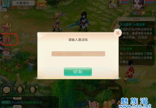 大话西游2有新手礼包吗？-大话西游3去哪里领新手