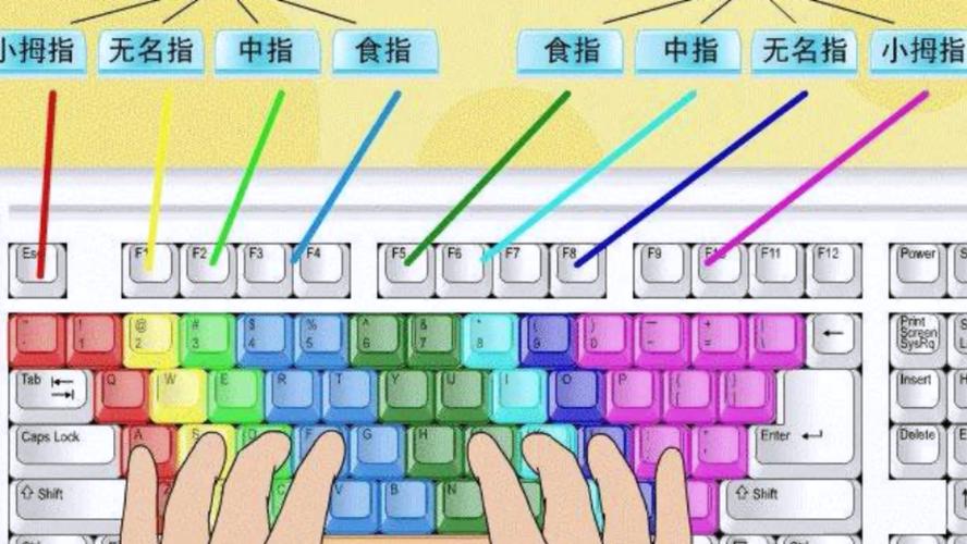新手学电脑打字,手应放在键盘哪几个键上？-新手键盘使用技巧