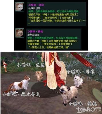 剑三明教日常推石头？-剑网3  明教新手 任务